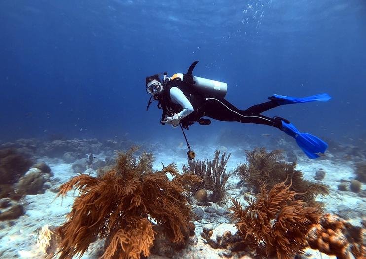 Bonaire National Marine Park